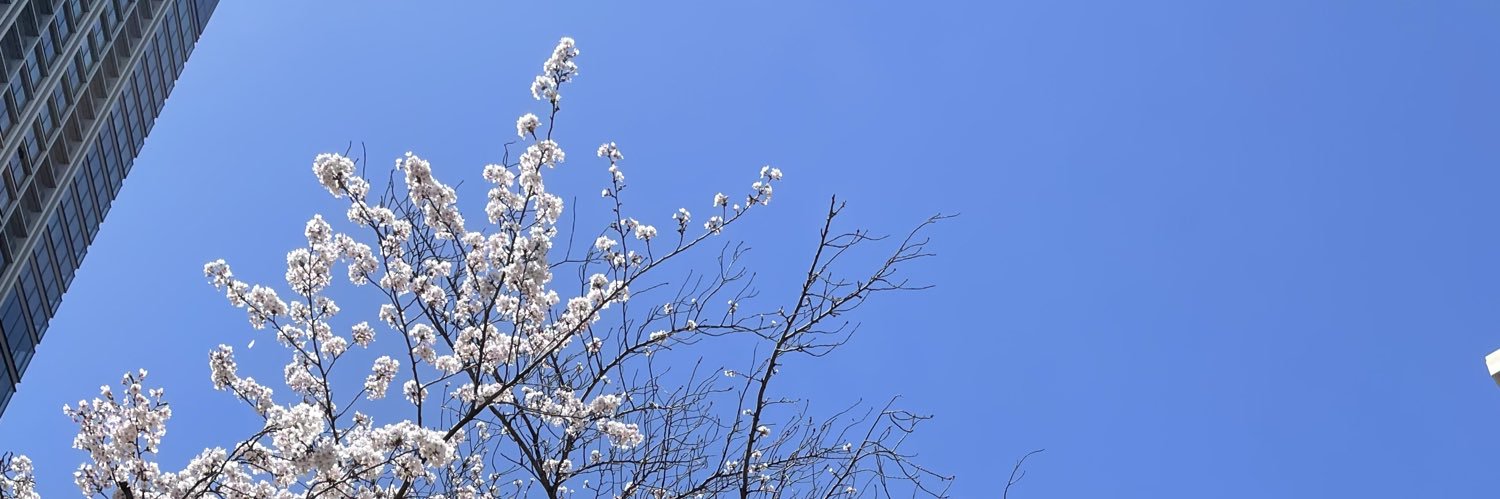wari_yu's profile banner image