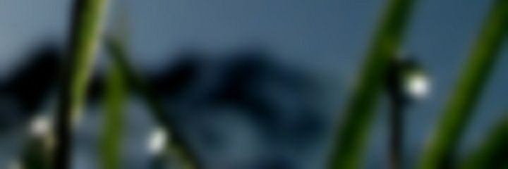 jslimaye | ǝʎɐɯılsɾ banner