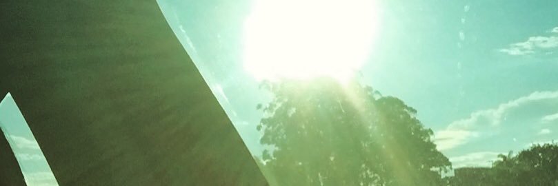 Alinelima84's profile banner image
