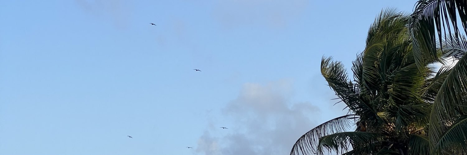 soleekhun's profile banner image