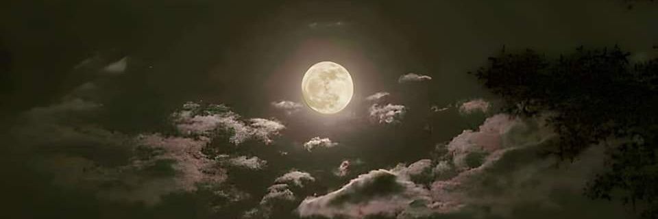 feer_samayoa's profile banner image