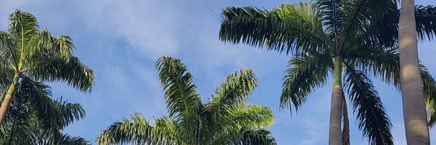Adripm23's profile banner image