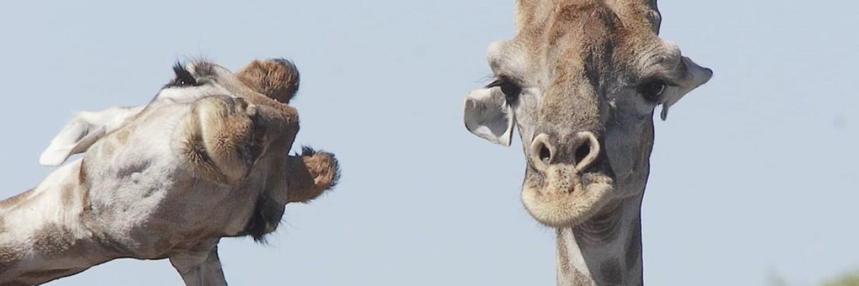 Meege84's profile banner image