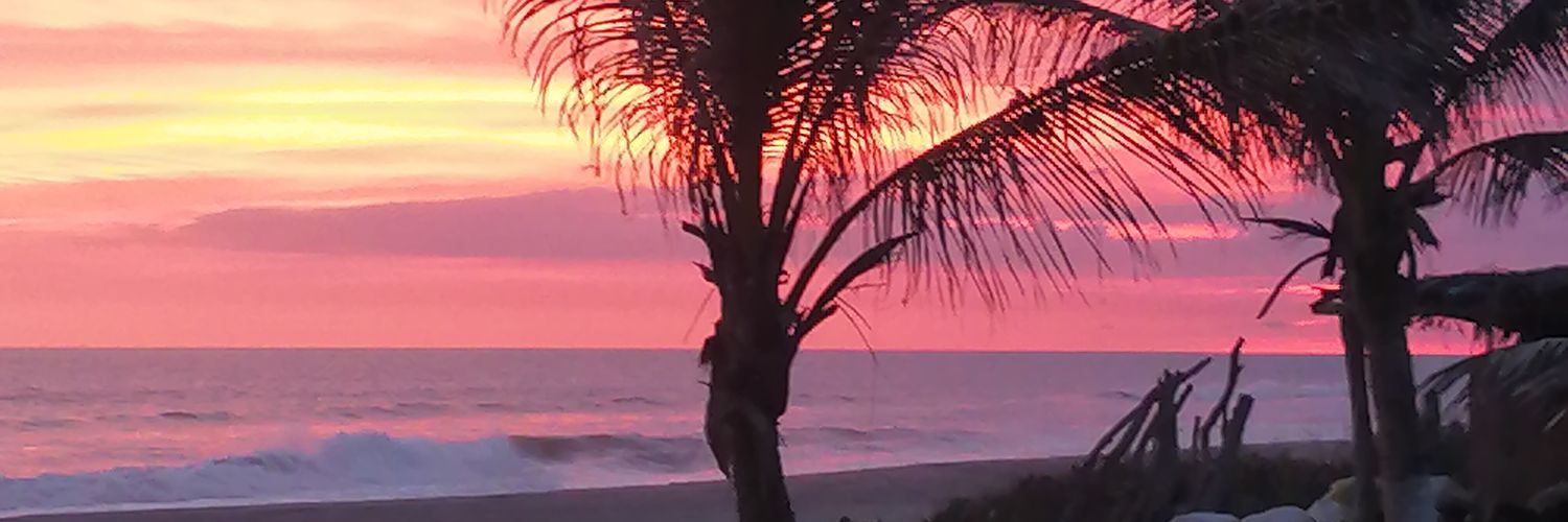 alfonsoapodaca's profile banner image