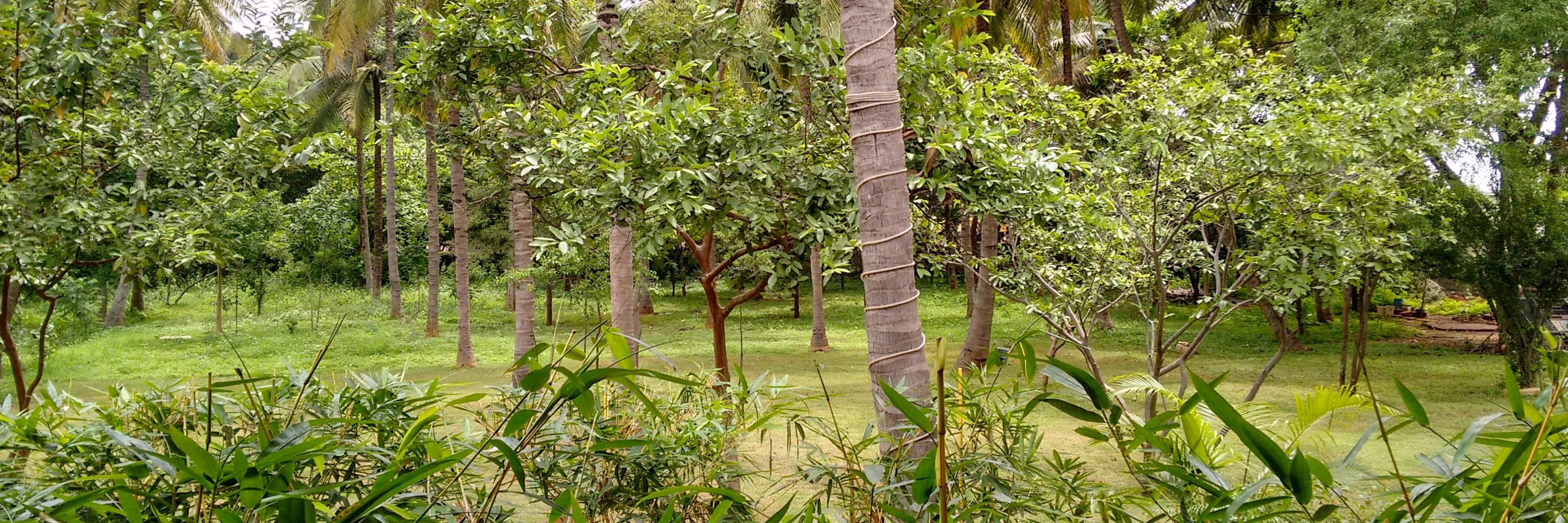 pushyasid's profile banner image