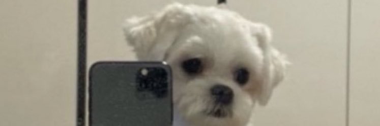 funsizefurby's profile banner image