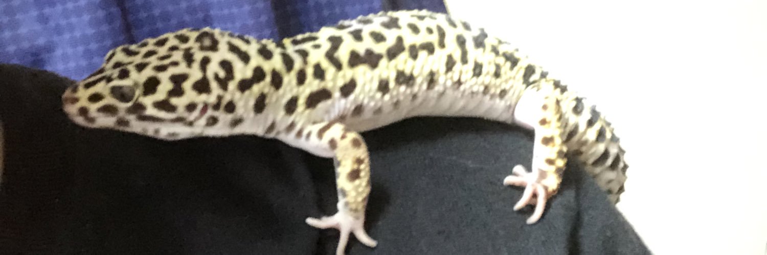 supotedo's profile banner image
