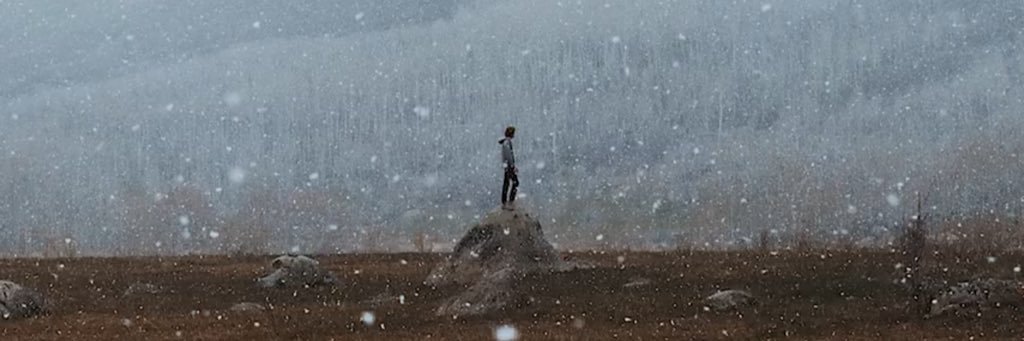 zenithdarwin's profile banner image