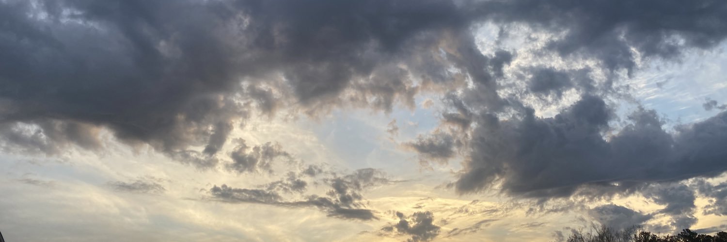 Thealanproject's profile banner image