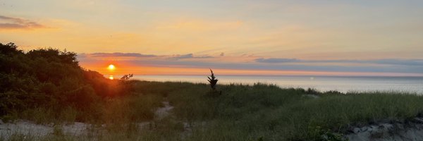 TheRealDeFo Profile Banner