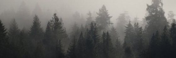 P16181523's profile banner image