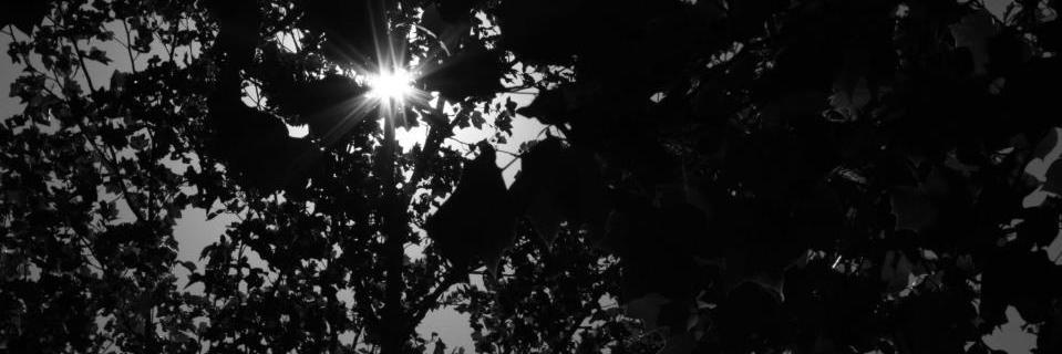 narvaez009's profile banner image