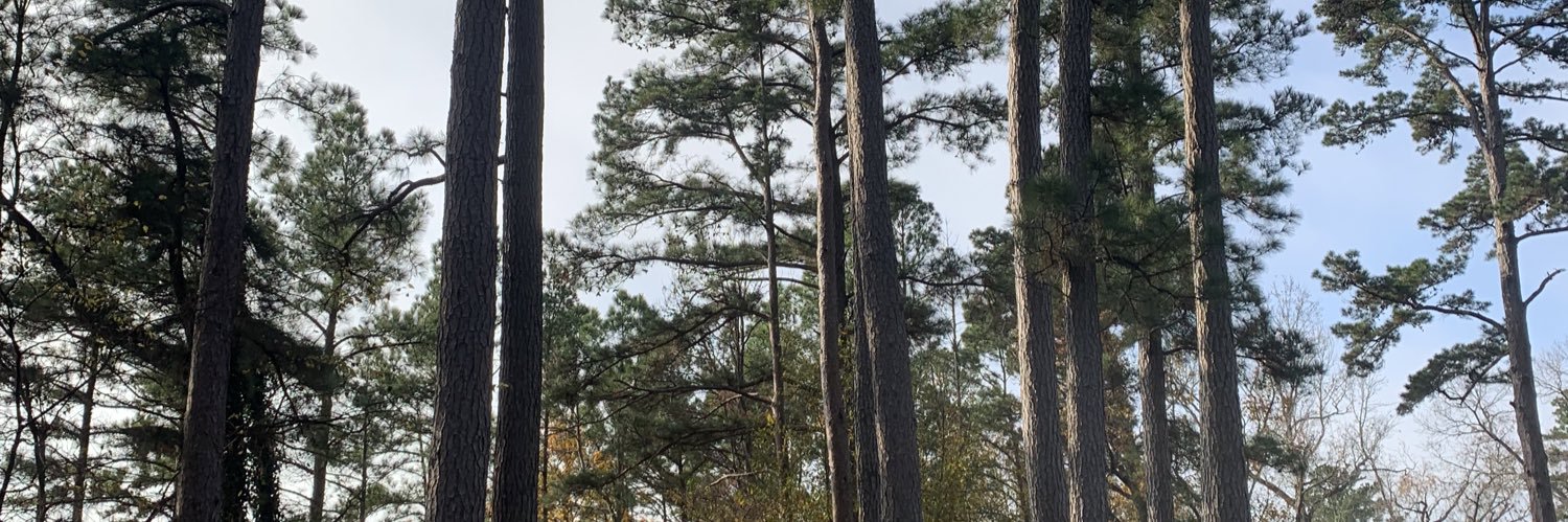 lbparmer22's profile banner image