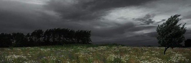 morrowhine's profile banner image