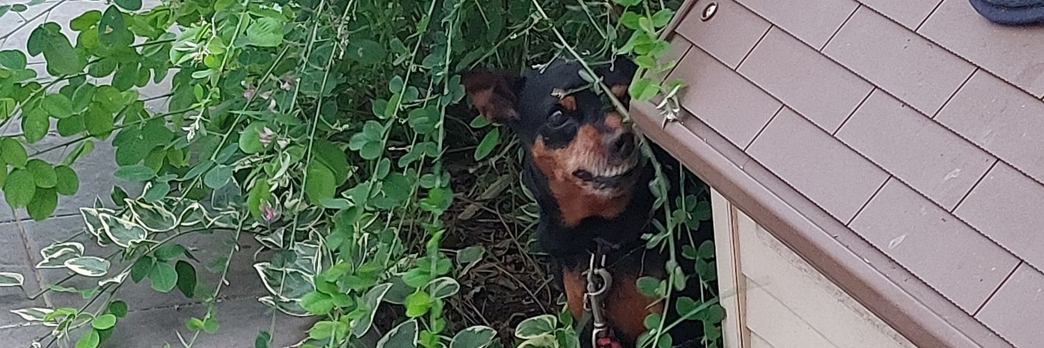 nar_shit_'s profile banner image
