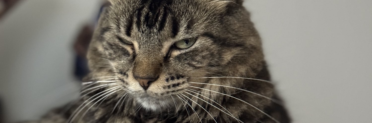 Lucas Junqueira banner