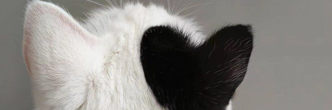 Ling | rest | 😈😽 banner