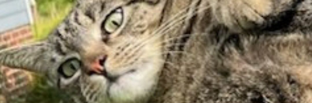 Kimberfly 🌼 banner