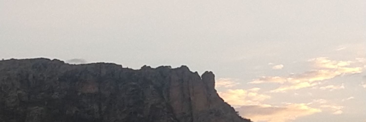 pakoates's profile banner image