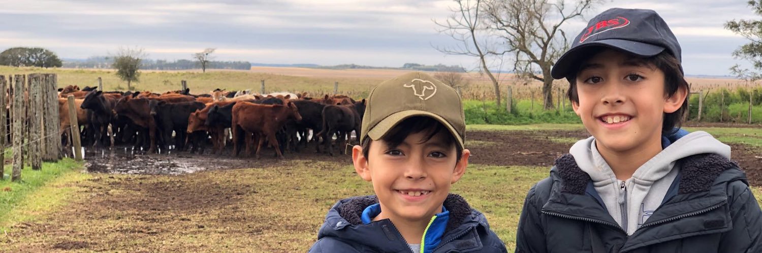 pedrogaray's profile banner image