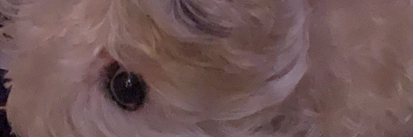 pchc_dgr's profile banner image