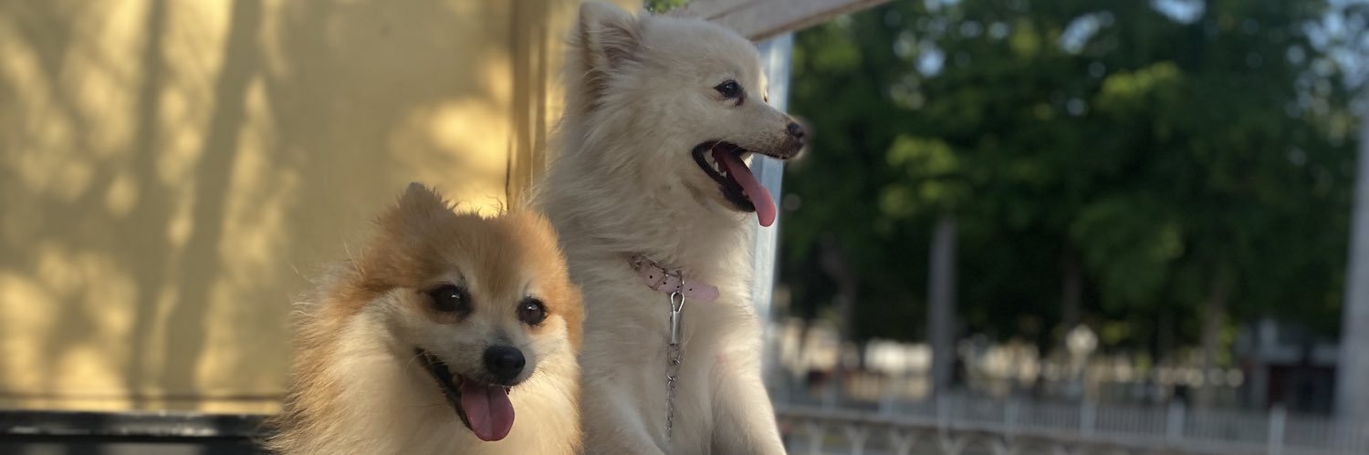 JessicaRangelD2's profile banner image