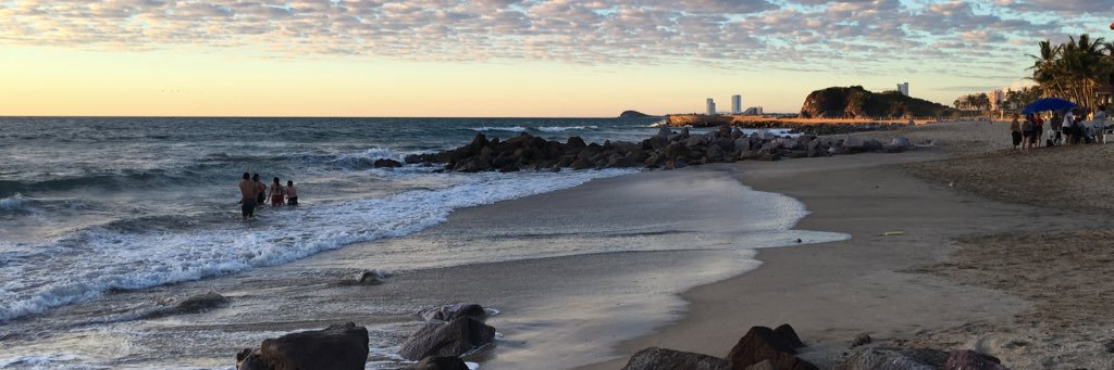 pam_mariscal's profile banner image