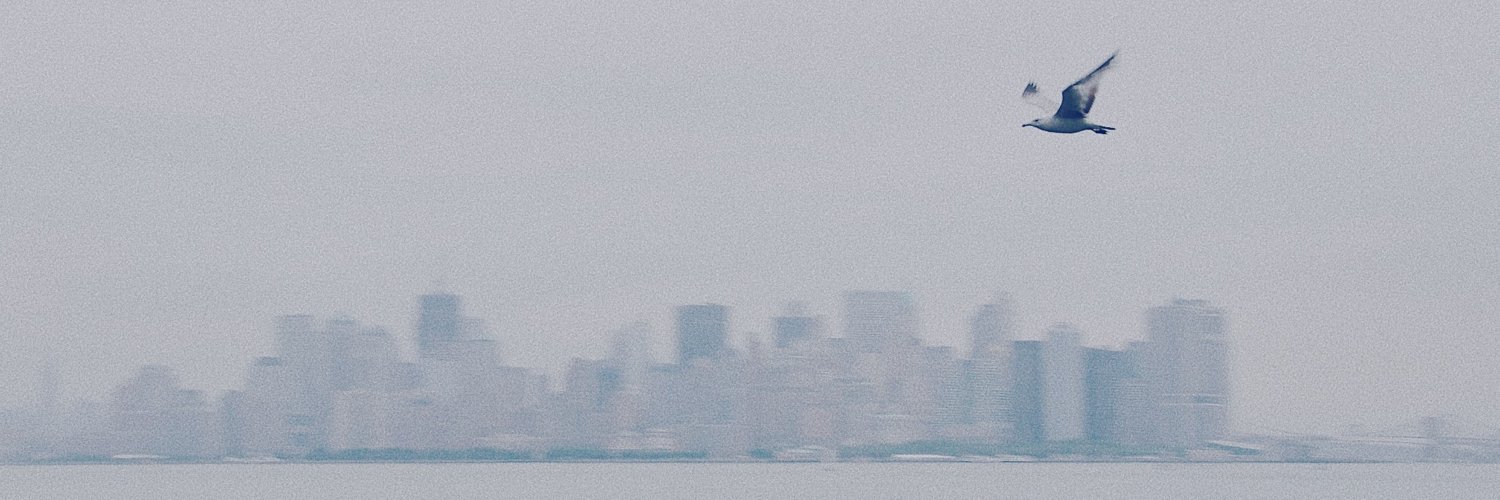 twulan's profile banner image