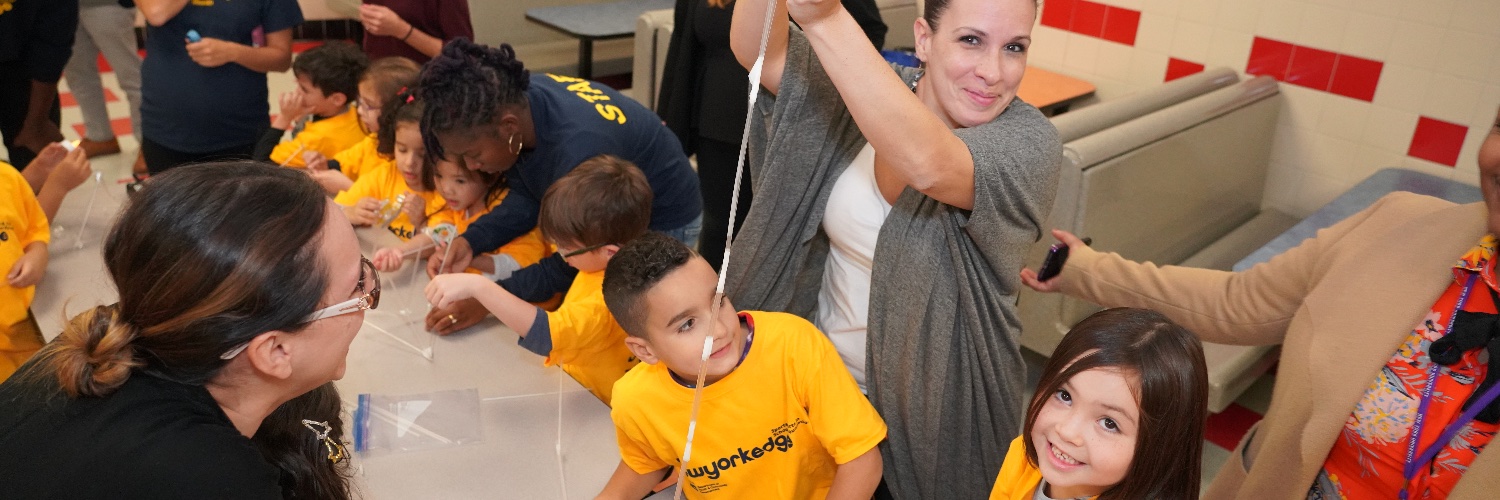 New York Edge banner