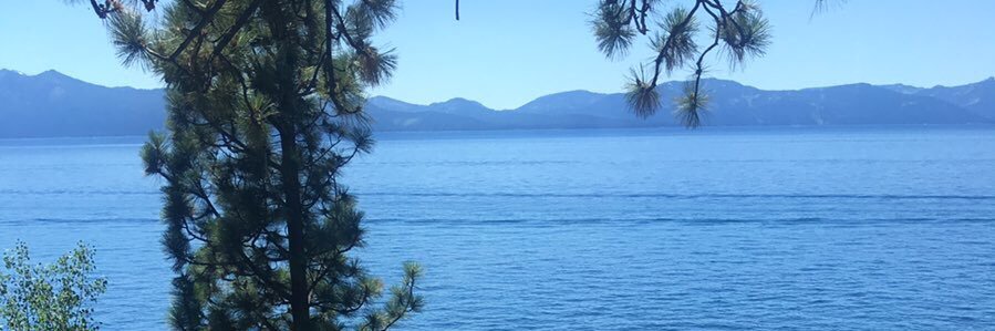 Heather Bruce banner