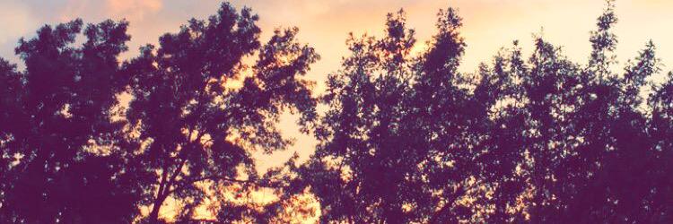 kjacks0825's profile banner image