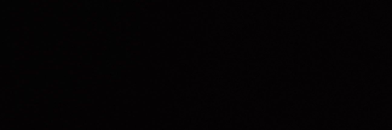 _ninadane's profile banner image