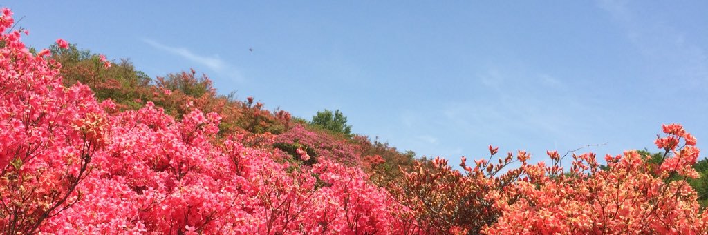 超 / cho banner