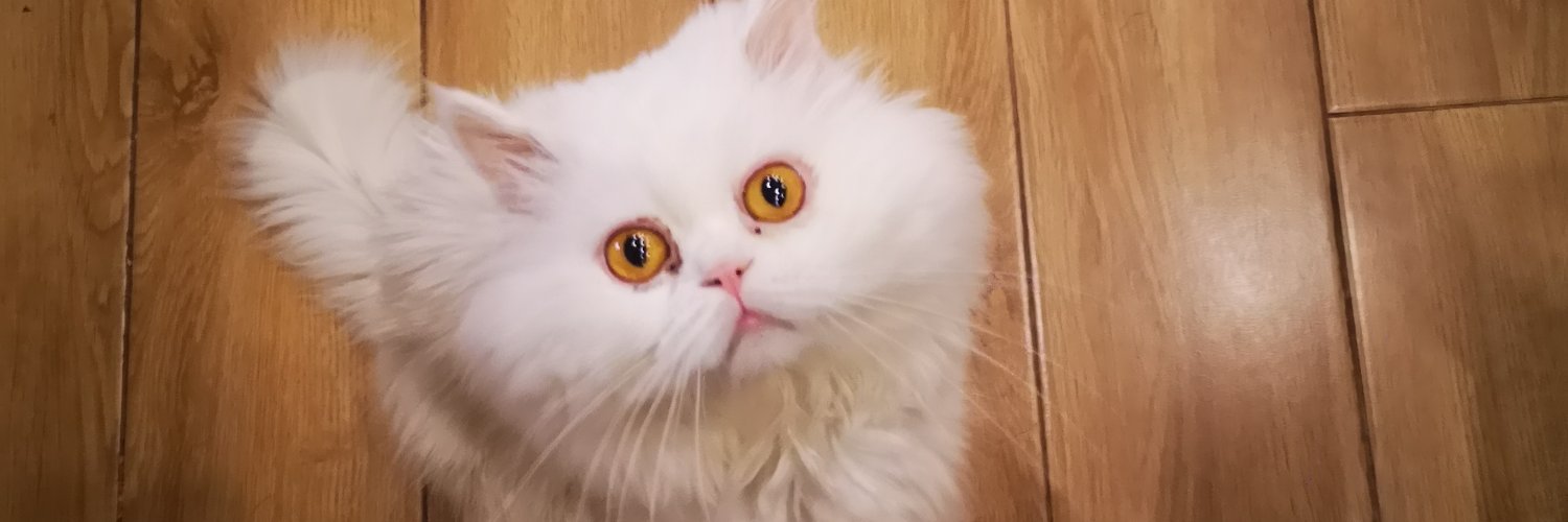 lSPNORAl's profile banner image