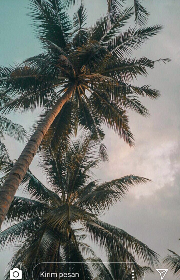 beginilahdp's profile banner image