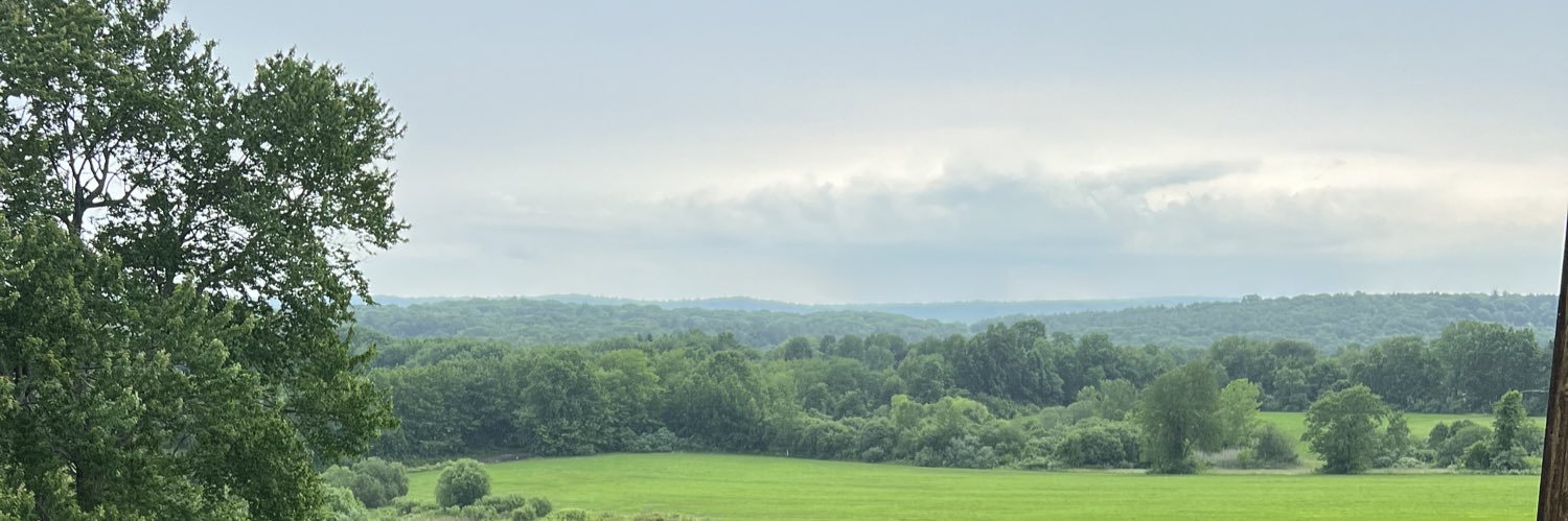 MrsSchauby's profile banner image