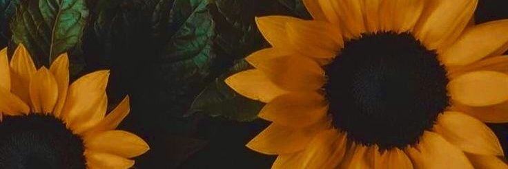 telekuku's profile banner image