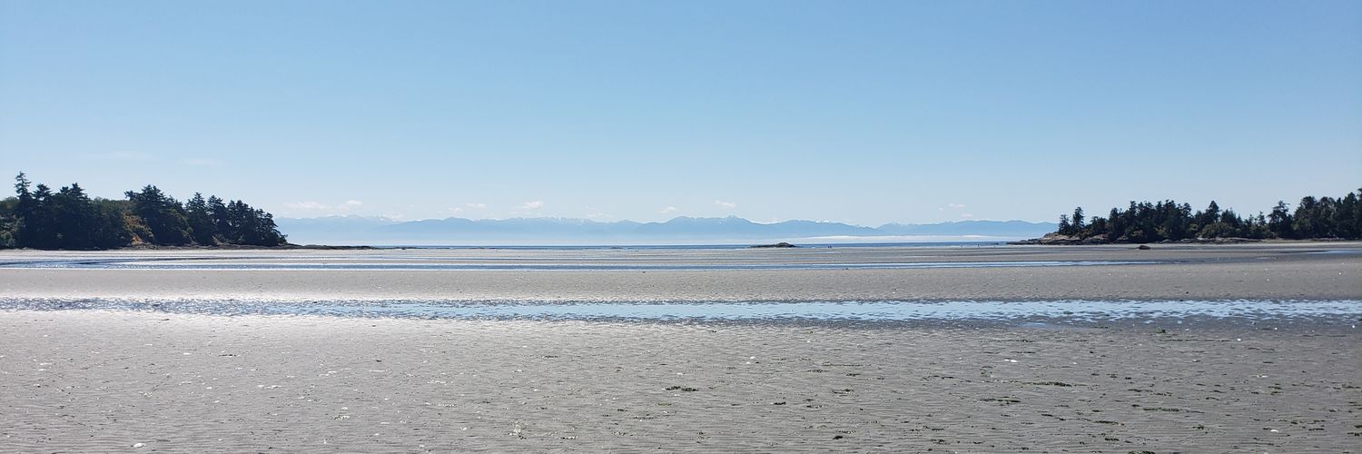 Brooke K. Sullivan PhD 🌈 banner