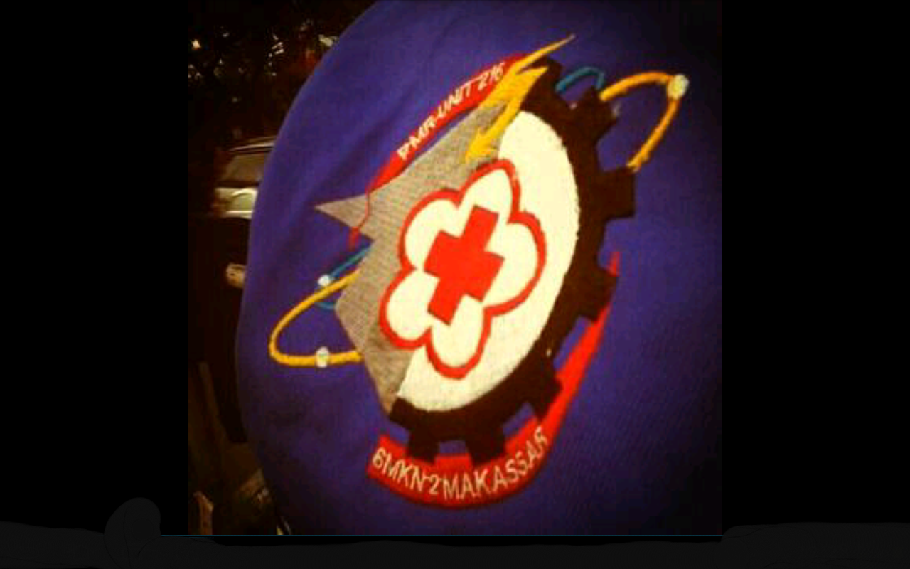 PMR WIRA STEMZHA banner