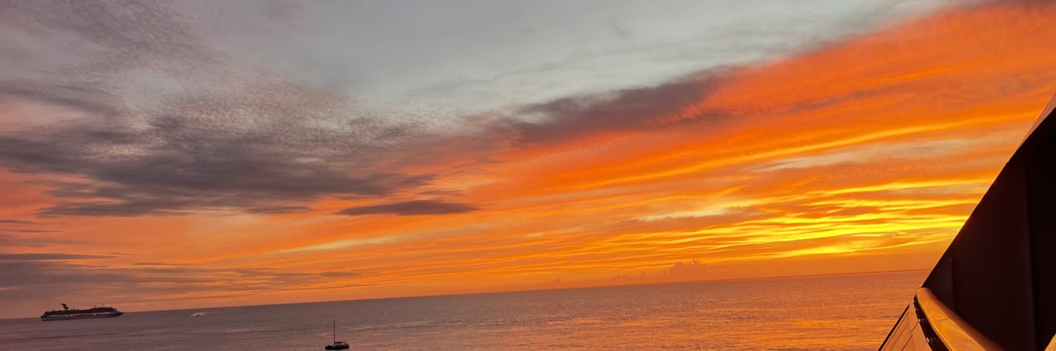 jjsRacoon_'s profile banner image