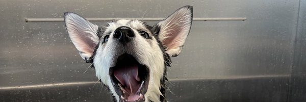 Paselli Profile Banner