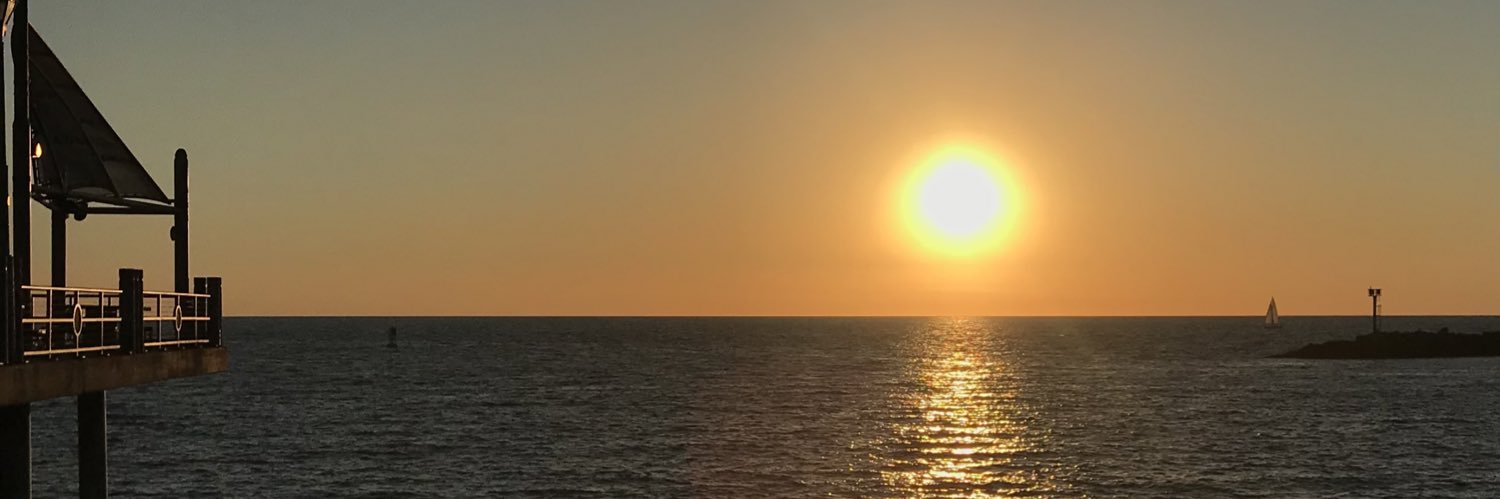 susalynn3's profile banner image