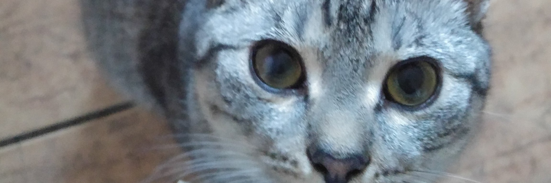 JRubenczyk's profile banner image