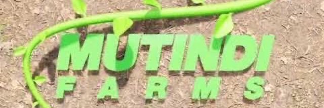 collinsmutindi's profile banner image
