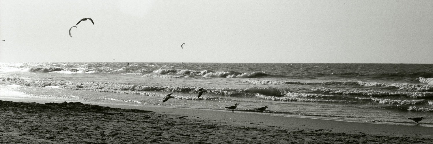 Daniel Arroyo Ariza banner