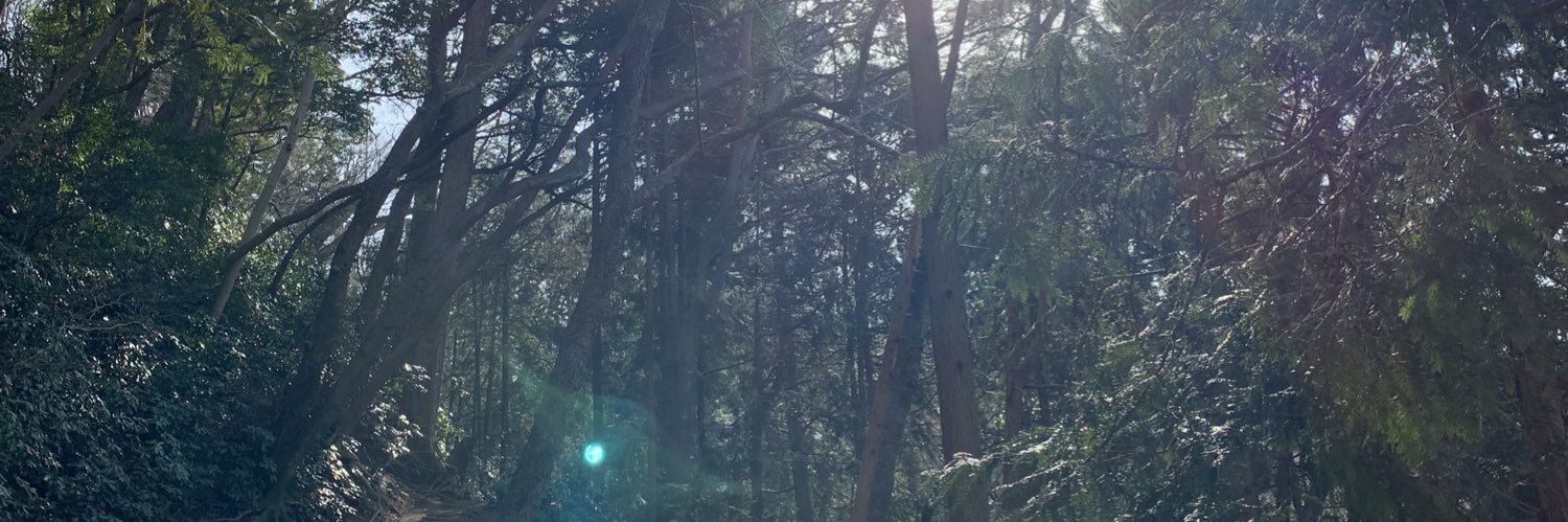 tanakiss43's profile banner image