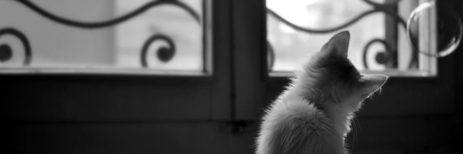 agzak's profile banner image