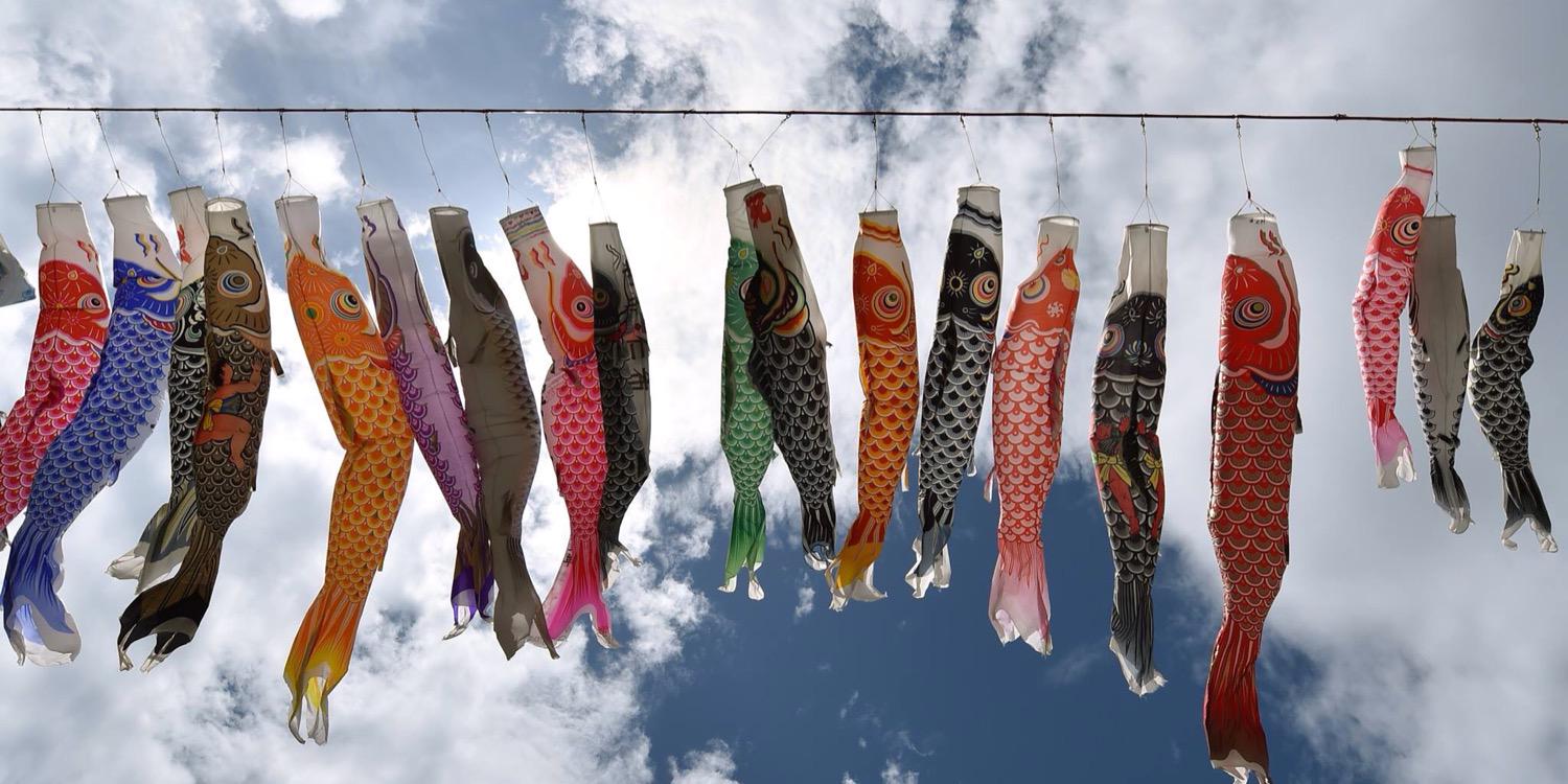 Angela Geraci banner