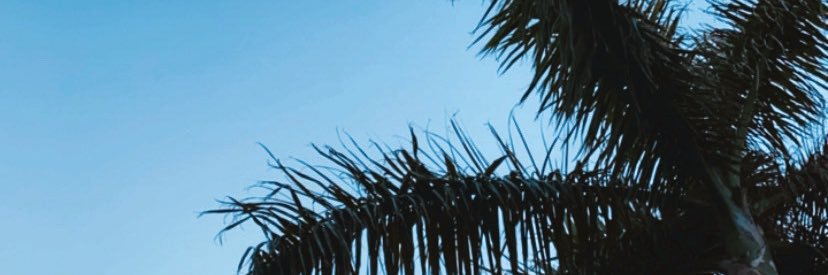 CarlaLoren's profile banner image