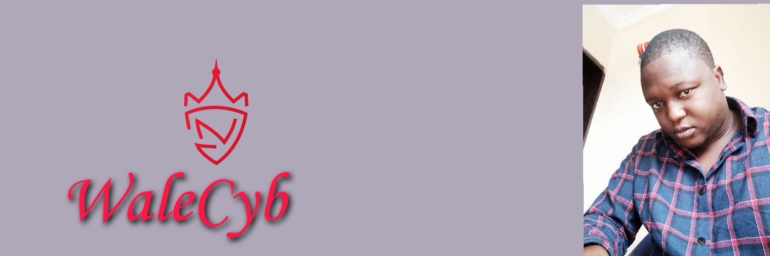 WaleCyb's profile banner image